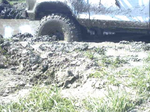 1995 Ford Bronco - This vehicle is deep in the mud, with only its side and a large tire visible. The registry claims it is a 1995 Ford Bronco, but this cannot…