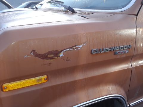 1994 Ford Bronco - This van features a "CLUB WAGON XLT" badge and a roadrunner decal on its side.