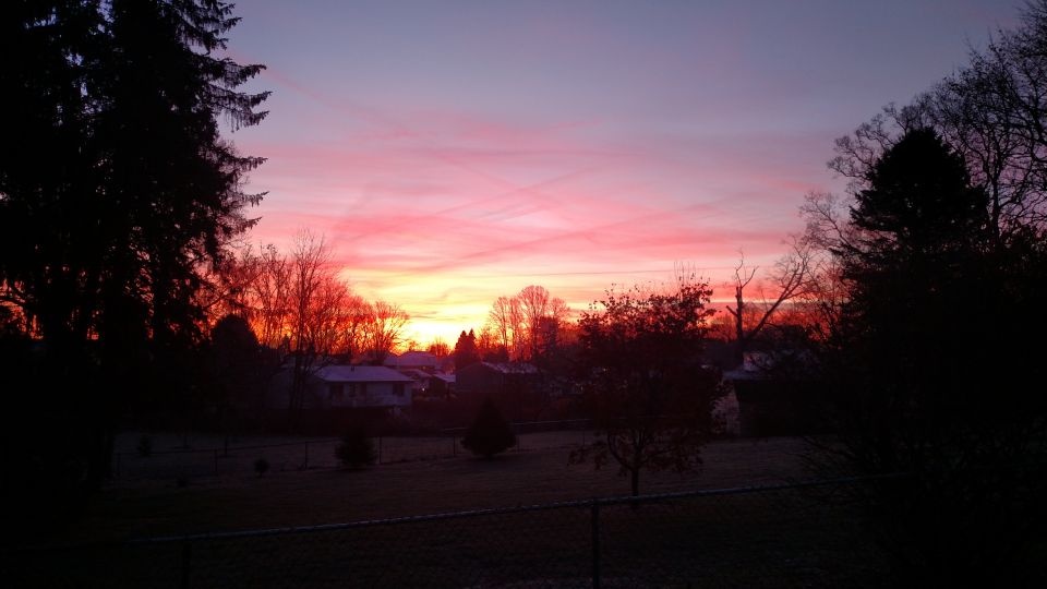 Sunset over a suburban landscape with silhouetted trees and houses.
