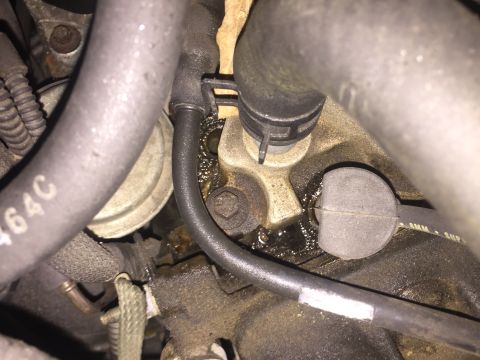 1994 Ford Crown Victoria - Close-up view of an engine component showing signs of fluid leakage, with hoses and a clamp visible.