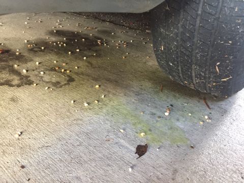 1994 Ford Crown Victoria - A close-up view of a tire on a concrete surface, showing debris and fluid stains.