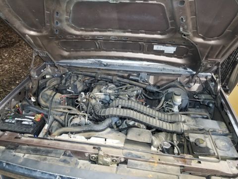 1993 Ford F-250 - The engine bay was very dusty, but not nearly as grimy as many I've seen, so the low mileage shown on the odometer is plausible. IF THE IMA…