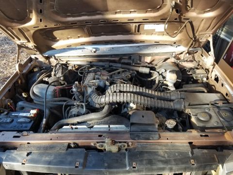 1993 Ford F-250 - This is after 2 wash/rinse cycles last night, using a LOT of water & some PurplePower mixed with Dawn in a spray bottle. IF THE IMAGE IS TO…