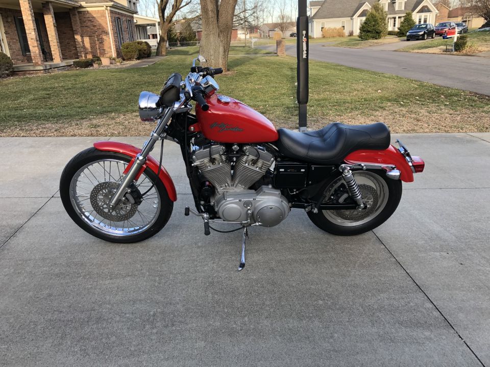 2002 Harley-Davidson Sportster Custom in 2020
