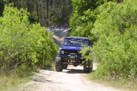 1974 Ford Bronco - A blue off-road vehicle navigates a wooded trail with dense foliage on either side.