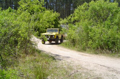 1974 Ford Bronco - A yellow SUV drives down a dusty road surrounded by lush green foliage and trees.