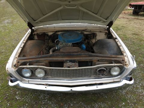 1960 Ford Starliner - Front view of a white 1960 Ford Starliner with its hood open, revealing the engine bay.