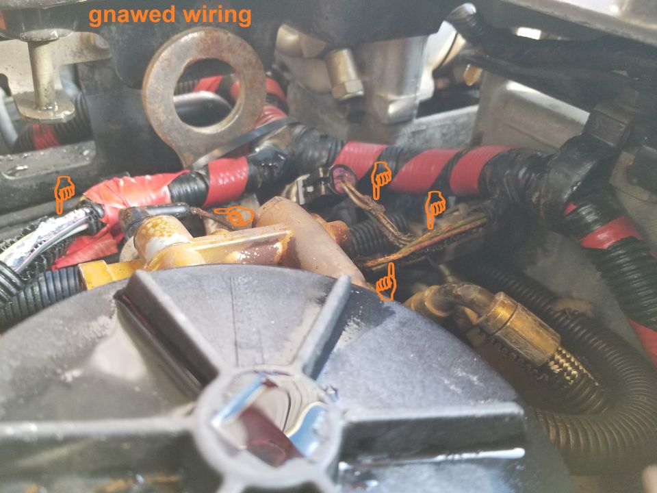 Rodents have been nesting here. Most of the hood insulation was packed into the valley below the fuel system; and most of the Left wheelwell insulation was packed into the air filter, along with a generous supply of acorns.
IF THE IMAGE IS TOO SMALL, click it.