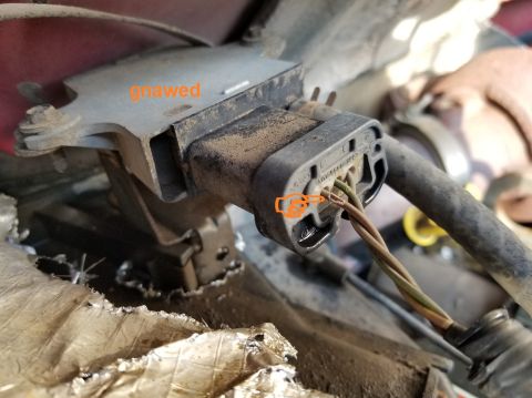 1997 Ford F-250 - These wires are bare, but not cut. IF THE IMAGE IS TOO SMALL, click it. [url=https://www.supermotors.net/registry/media/1157852] https://ww…