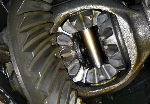 2001 Ford Excursion - Differential gears showing wear and lubrication.