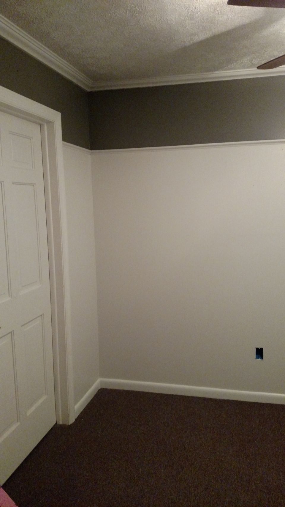 Interior room with white door, brown carpet, and white walls with a dark gray accent