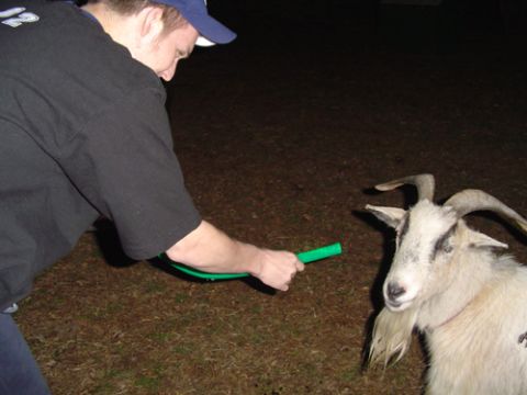1979 Ford Bronco - A person interacts with a goat in an outdoor setting, with a website logo visible in the lower right corner of the image.