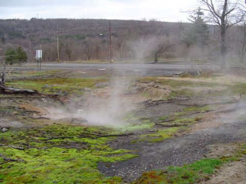 1979 Ford Bronco - A natural hot spring emits steam into the cool air, surrounded by mossy ground and trees.