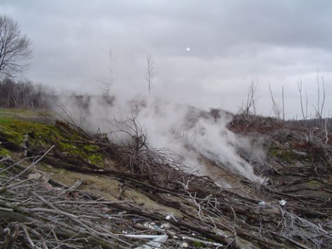 1979 Ford Bronco - A desolate landscape is obscured by smoke and scattered branches under an overcast sky.