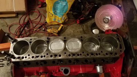 1985 Ford Bronco - Engine block with pistons and associated tools and supplies in a workshop setting.