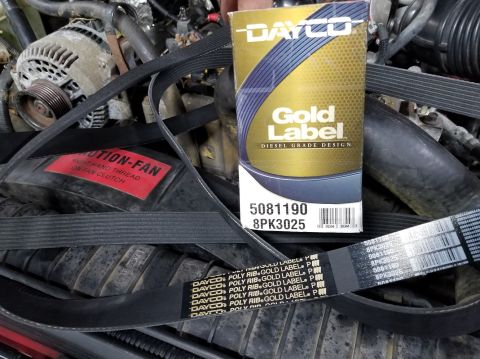 1997 Ford F-250 - The new belt eliminated the last of the screeching. IF THE IMAGE IS TOO SMALL, click it.