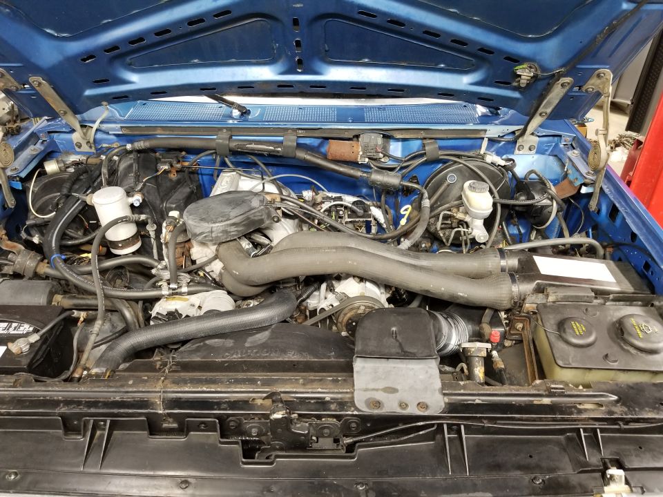 Under-hood view of a blue Ford's engine bay with V8, black hoses, and coolant reservoir