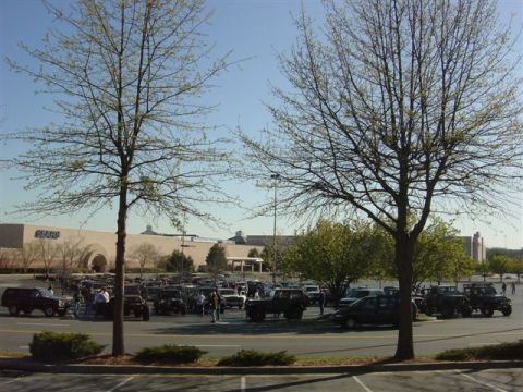 1995 Ford Bronco - Parking lot meet