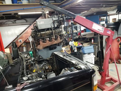 1996 Ford Bronco - Going in... Not that I needed to adjust it, but just because it's clean, I painted the timing marks white.