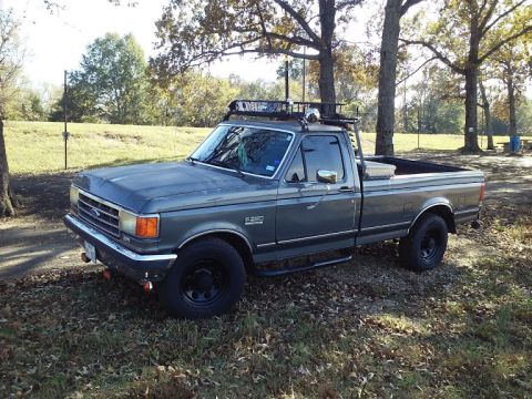1990 Ford F-250 photo