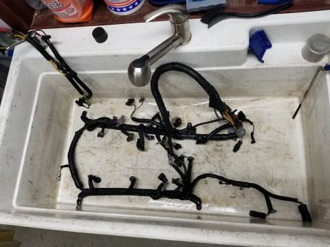 1989 Ford Bronco - I hand-washed the engine wiring & vacuum harnesses, rather than risk shredding them with the pressure washer.