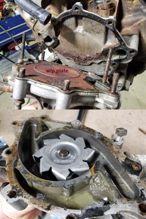 1989 Ford Bronco - The water pump itself looks much better than I expected. But its backing plate is the worst I've ever seen. And I've never found gray sludg…