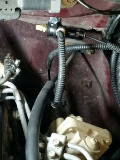 1996 Ford Bronco - 20200227 - Lines leading from the AFC Live tuner to the AFC on the engine.