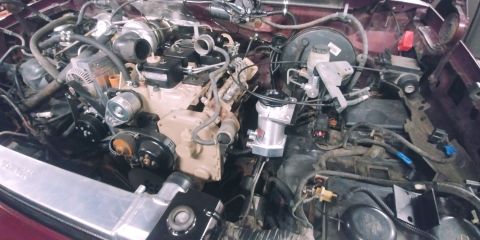 1996 Ford Bronco - 20200304 - Power steering reservoir is mounted.