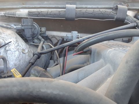 1994 Ford Bronco - Close-up view of engine bay components, including hoses and electrical connectors.