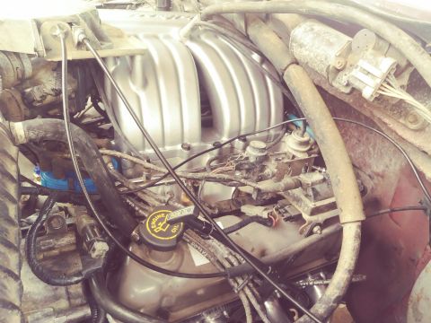 1996 Ford Bronco - A close-up view of the engine bay of a 1996 Ford Bronco, focusing on the intake manifold, engine components, and various hoses and wiring.