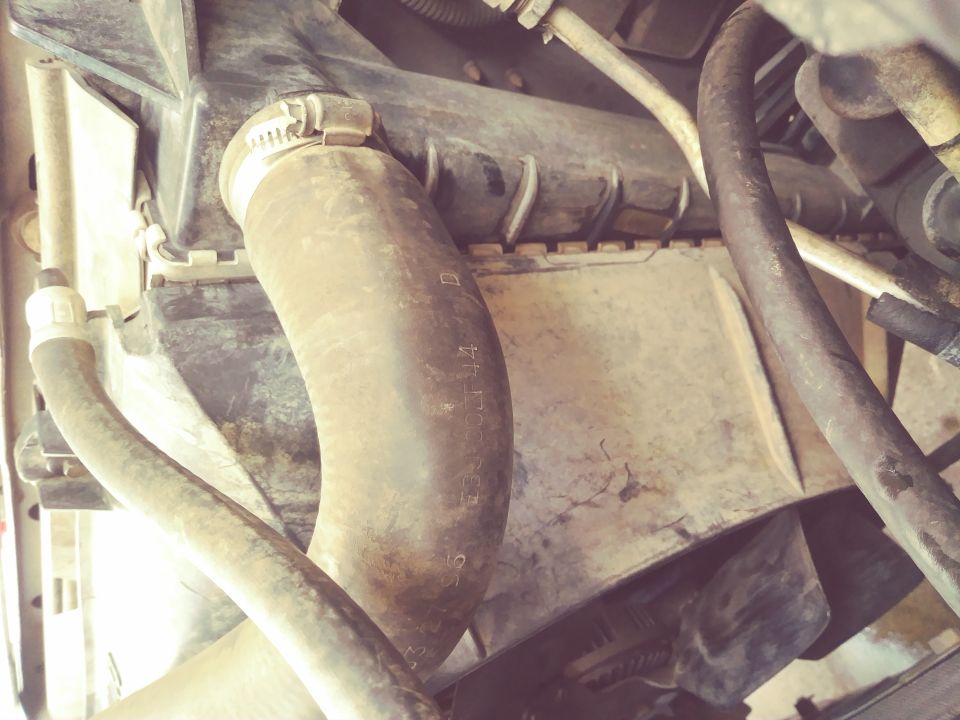 Close-up of dirty radiator hose with text on it, part of a vehicle engine.
