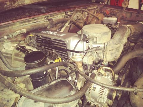 1996 Ford Bronco - A close-up view of the engine bay of a 1996 Ford Bronco, showcasing the engine components including the air intake, alternator, and a silve…