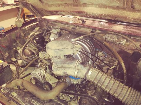 1996 Ford Bronco - The engine bay of a Ford Bronco is shown, with the hood open. The engine appears to be a V8 with a carburetor and a large air intake system.
