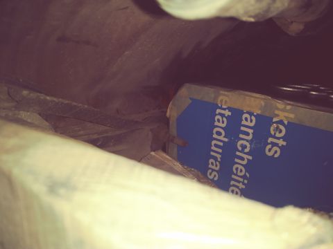 1996 Ford Bronco - A blue box with white text is visible in the lower right of the image, partially obscured by other objects. The text appears to be part of…