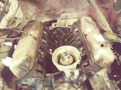 1996 Ford Bronco - The image shows a close-up, overhead view of a disassembled V8 engine, likely from a 1996 Ford Bronco. The intake manifold has been removed…