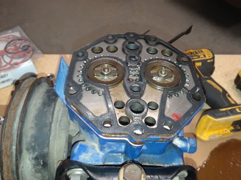 1985 Ford Bronco - A disassembled engine component with a gasket and two circular valves is shown, with a yellow and black power drill in the background.