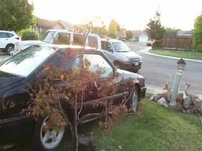 1988 Ford Mustang
