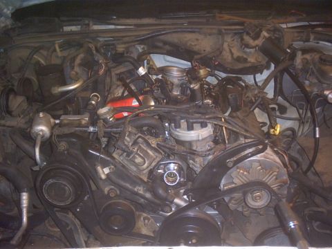 1991 Ford LTD Crown Victoria - Close-up view of a V8 engine bay, showing various mechanical components and wiring.