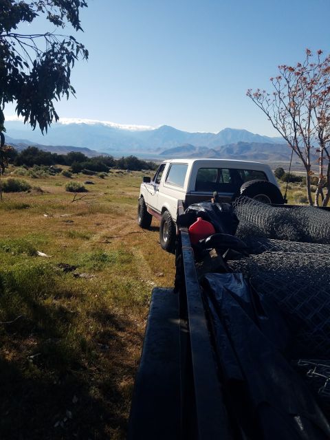1990 Ford Bronco - A white Ford Bronco is parked in a dry, grassy field with mountains in the background.