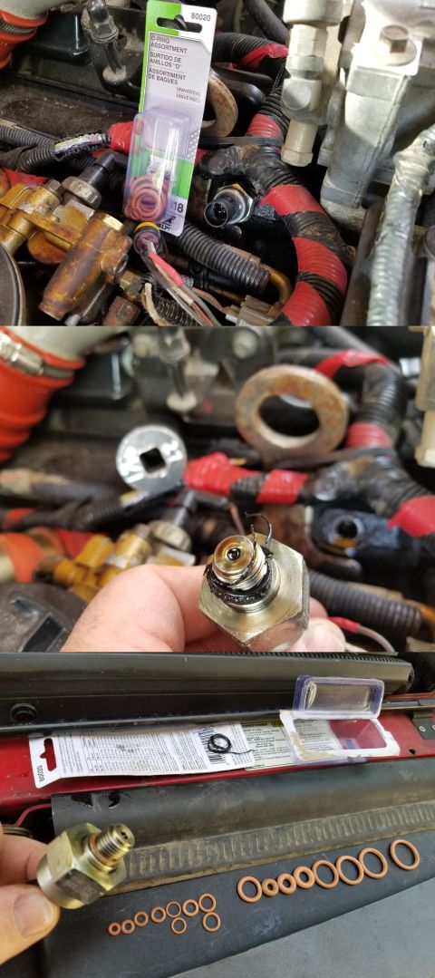 1997 Ford F-250 - The cheapo O-ring supplied with this cheapo ICP seems to have been too large, causing it to become pinched & torn. I paid $9 plus tax local…
