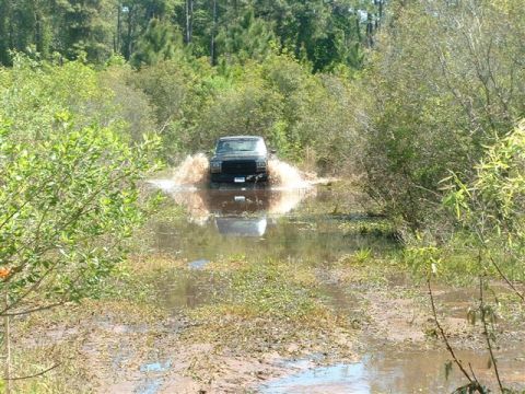 1986 Ford Bronco - A dark-colored Ford Bronco navigates through a muddy, water-filled trail surrounded by trees.