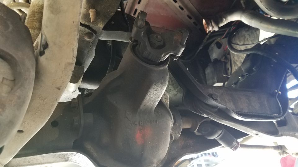 Underside view of a vehicle differential and driveshaft universal joint.