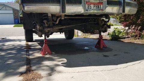 1985 Ford Bronco - The rear underside of a 1985 Ford Bronco is supported by two red jack stands on a concrete driveway. The vehicle's license plate, reading "…