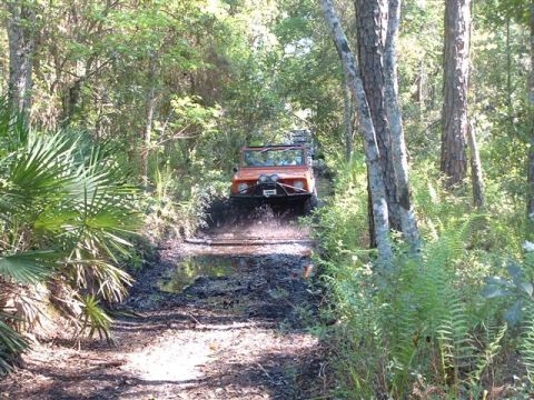 1986 Ford Bronco - An orange off-road vehicle navigates a muddy trail surrounded by lush greenery, with another vehicle visible behind it.