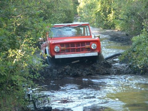 1986 Ford Bronco - This early Bronco is navigating a muddy, water-filled trail surrounded by dense foliage.