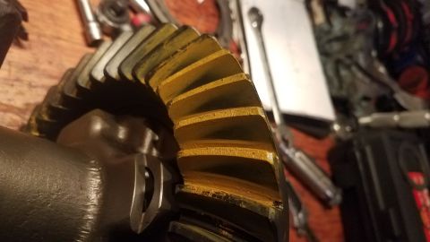 1985 Ford Bronco - A close-up, angled view of a yellow-coated ring gear with visible wear marks on its teeth. The gear is mounted on a dark-colored differenti…