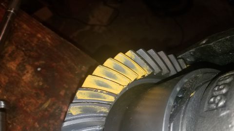 1985 Ford Bronco - A close-up view shows the teeth of a differential ring gear, marked with yellow gear marking compound. The gear is mounted within a dark ho…