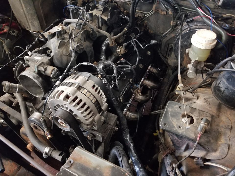 Engine bay with alternator, exhaust manifold, brake fluid reservoir, and wiring