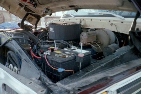 1979 Ford Bronco - well they seem to be breeding under the hood