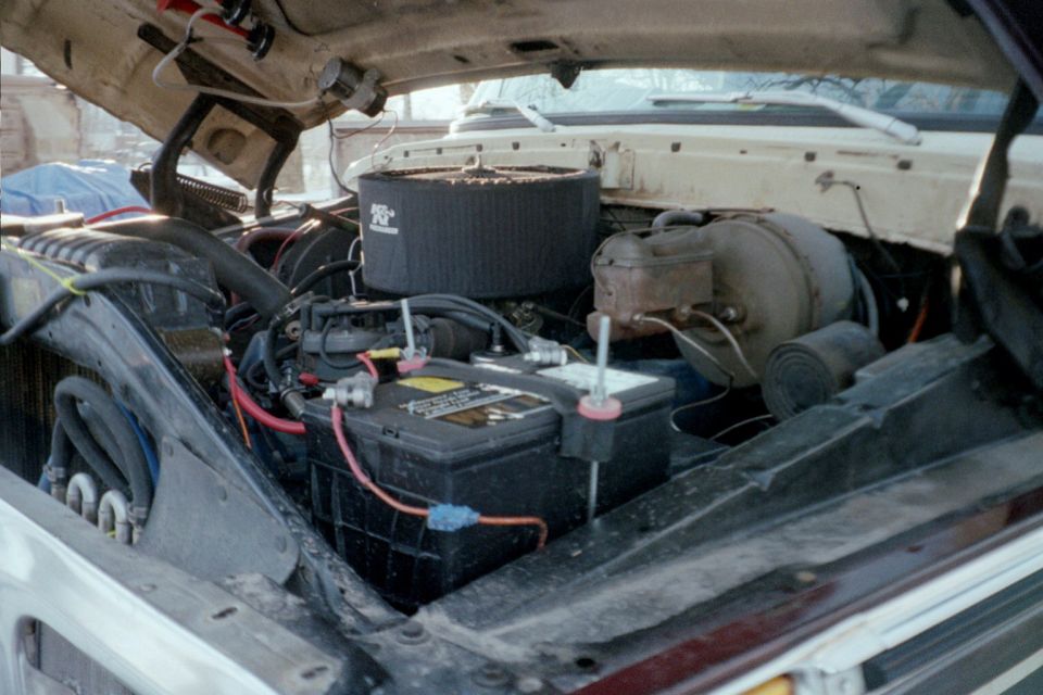 well they seem to be breeding under the hood